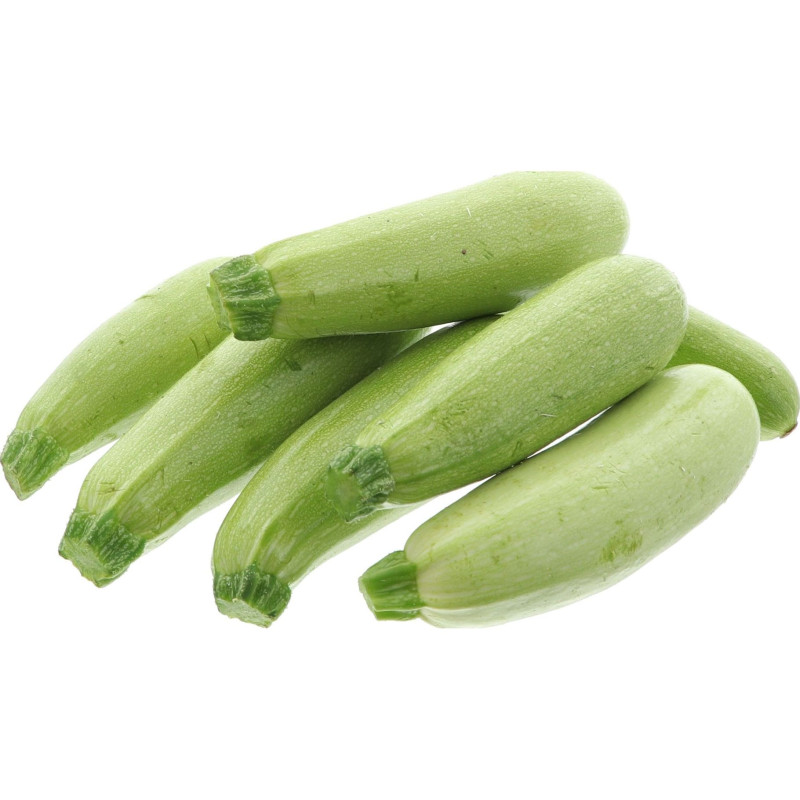 COURGETTE BLANCHE 5KG 14PCS